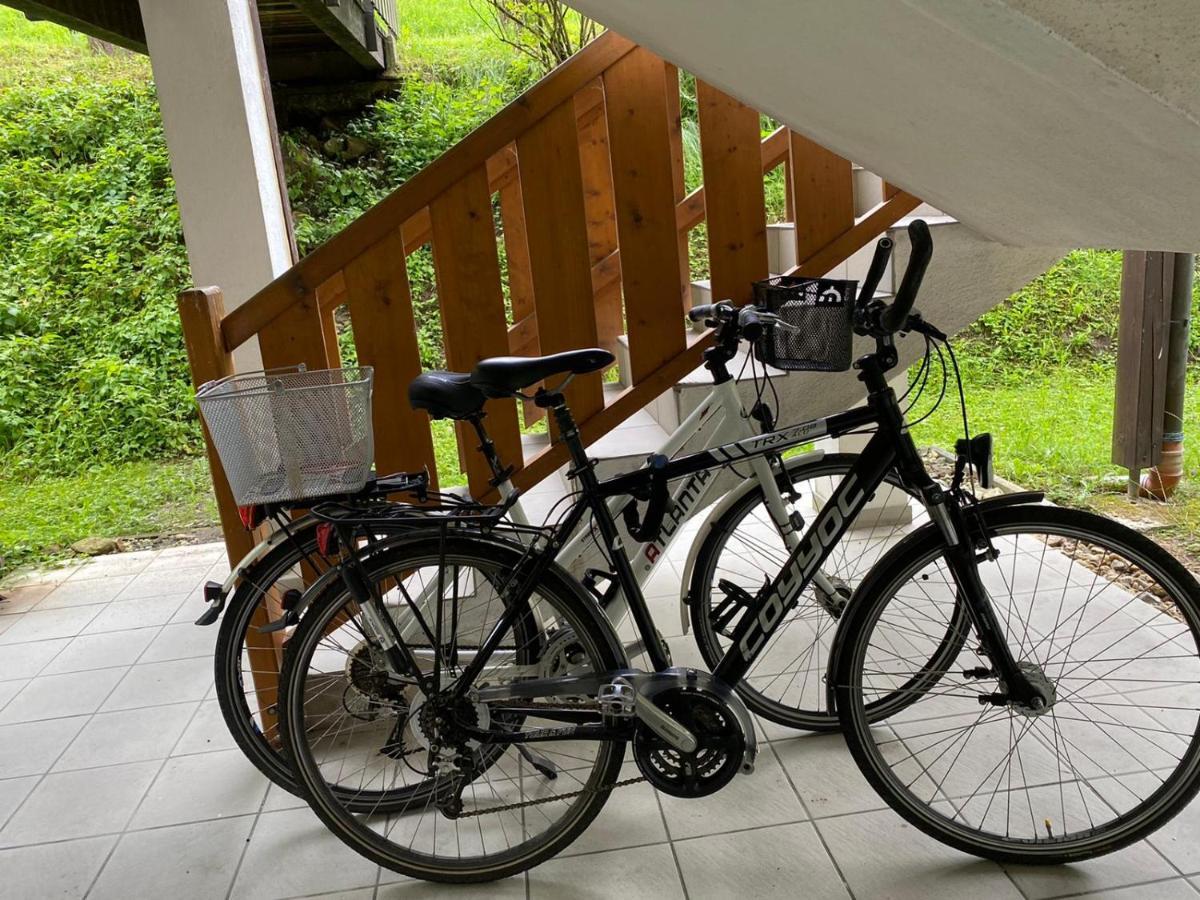 Apartment Geschmackvolles Am Donauradweg Obernzell